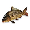 Клюёт на червя🪱