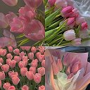 ТВ𐌏Й 𐌑ИР | 𐌑𐌏ТИВАЦИЯ | Эᥴᴛᥱᴛᥙκᥲ | 𐌿᧐жᥱ᧘ᥲнᥙя