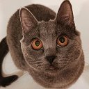 Куся🐱🐱🐱🐱