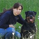 Коза Дереза 63pokupki.ru❤️