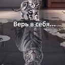 ZE_BEST_1 спорт