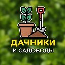 ЖЦА