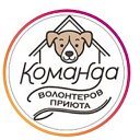 sobaki_priuta_nekrasovka🐶🐱