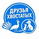 Друзья Хвостатых