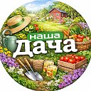 Наша Дача