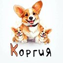 КоргиЯ / Корги / Собаки / Милые Видео