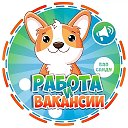 Работа Жуковка | Вакансии в Жуковке | Сельцо | Брянск | Володарский район | Советский | Дятьково | Карачев | Белые Берега | Супонево | ЖК Андреевский парк | Мегаполис | Атмосфера | Объявления
