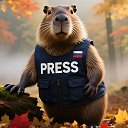 🇷🇺 Капибара | Новости Дня