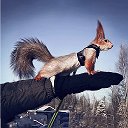 Белка Уля - Belka.Ulya