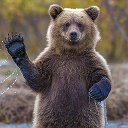 Логотип канала