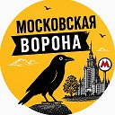 Московская Ворона | Куда сходить в Москве