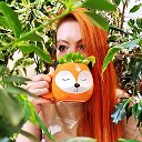 Лисьи Дебри