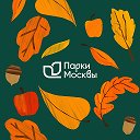 Логотип канала