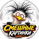 Смешные картинки