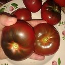 Логотип канала