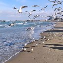 Море_Внутри❤️