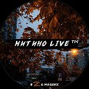 Митино