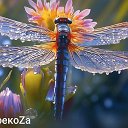 СтрекоZa