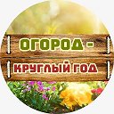 Огород - круглый год | Сад, Дача, Заготовки