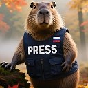 🇷🇺 Капибара | Новости Дня