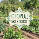 🌿Огород без хлопот 🍒
