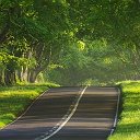 Путешествие и доступность