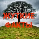 Жуткие факты