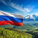 Сетка новостей