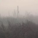 Хороший Vыбор Z