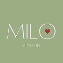 Milo Flowers | Цветы Уфа