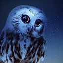 Обои на телефон, вдохновение, эстетика