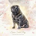 Мопс🐶, щенки -Питомник мопсов