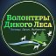 Волонтёры🦔«Дикого Леса»🐇