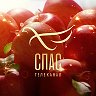 Телеканал СПАС