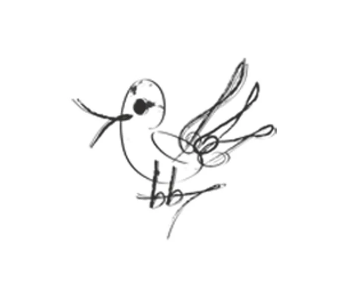 "Пионерия" им. Г.А. Струве, Балашиха