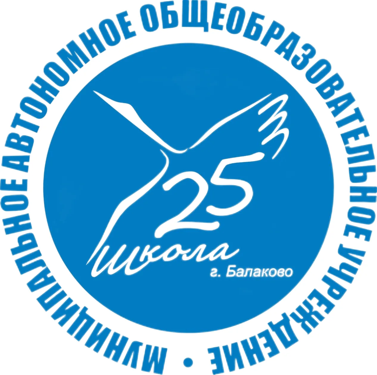 МАОУ СОШ № 25