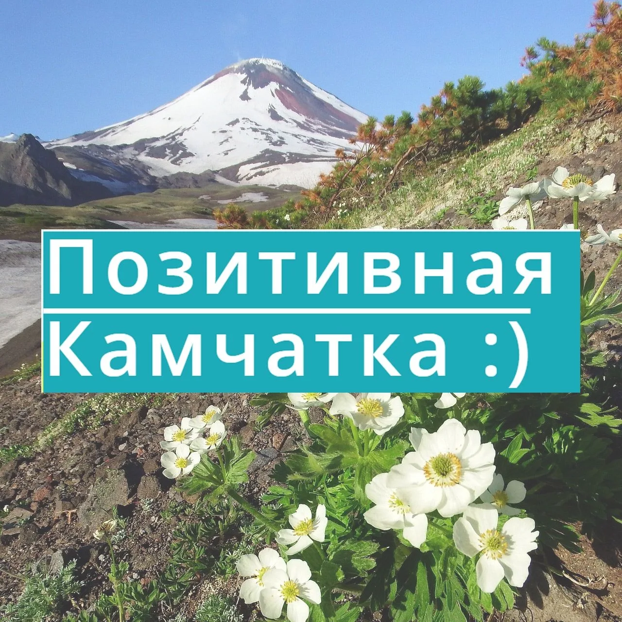 Позитивная Камчатка — канал в мессенджере MAX
