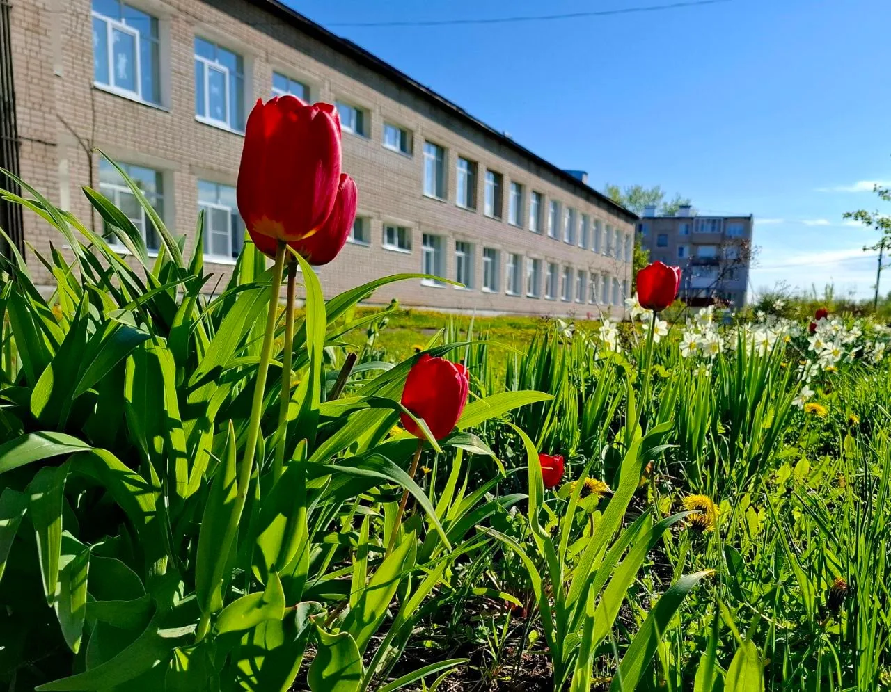 МКОУ Шилыковская СШ, Лежневский муниципальный район