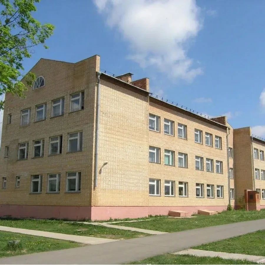 Непецинская школа,  Коломна