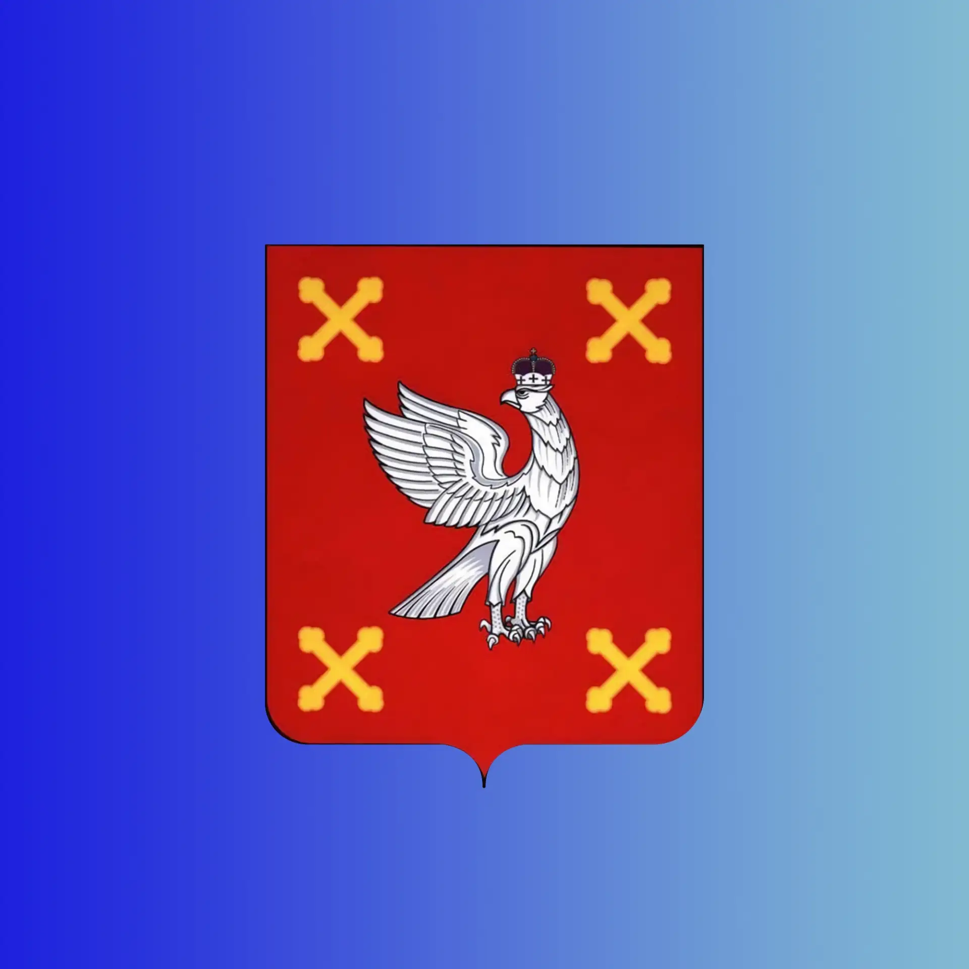 Шуйский муниципальный район