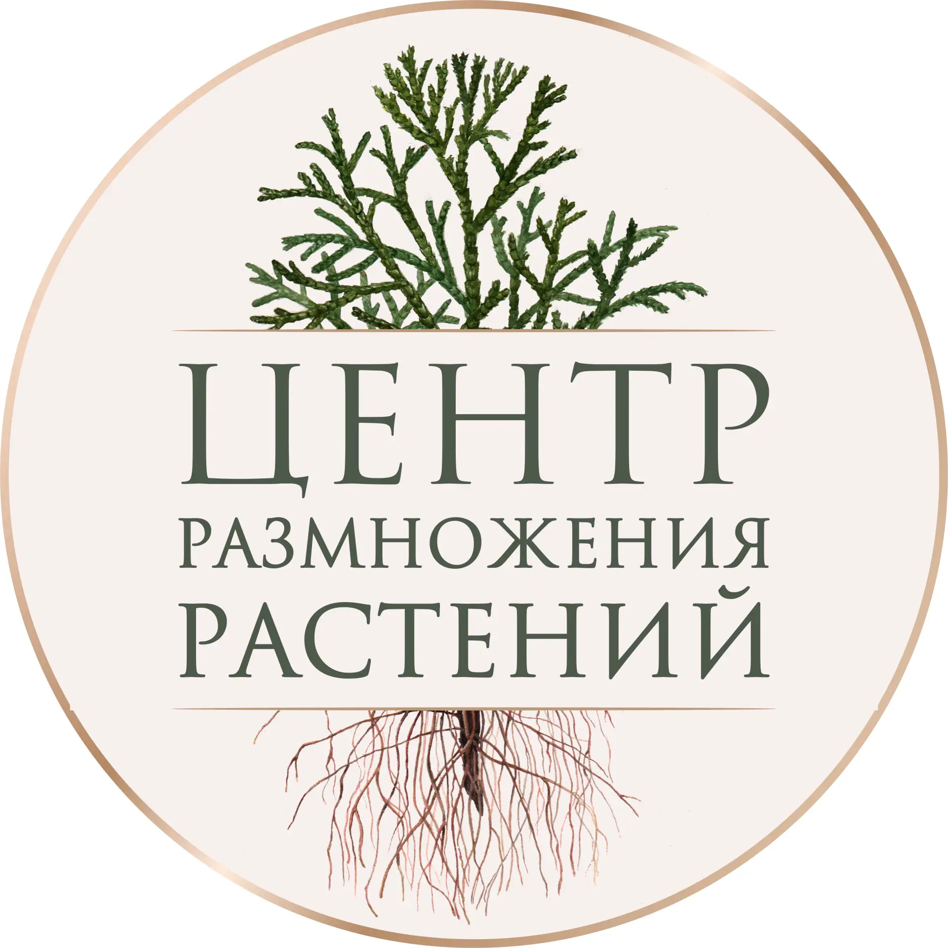 Питомник Центр Размножения Растений (Тверская область) — канал в мессенджере MAX