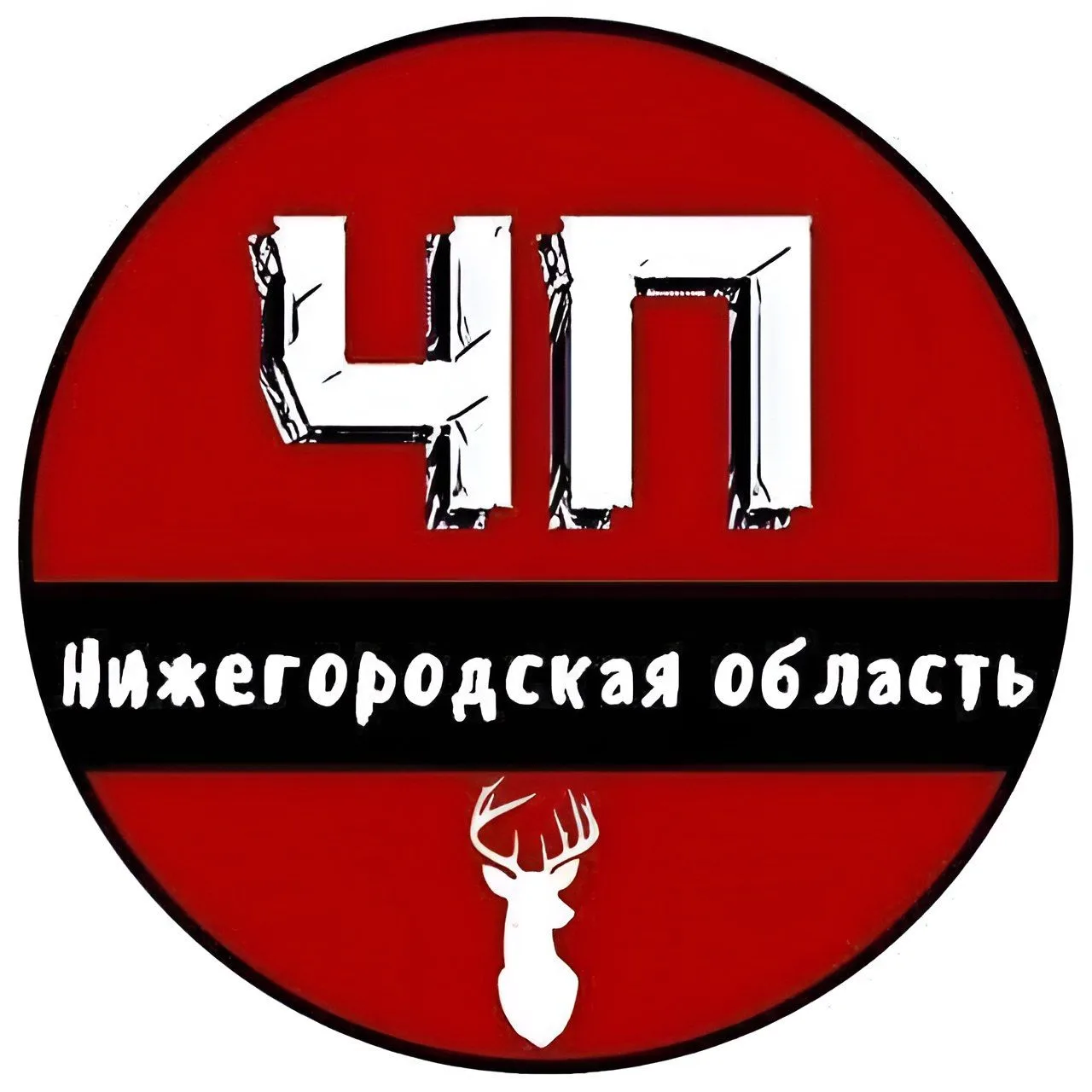 ЧП Нижний Новгород и Нижегородская область — канал в мессенджере MAX