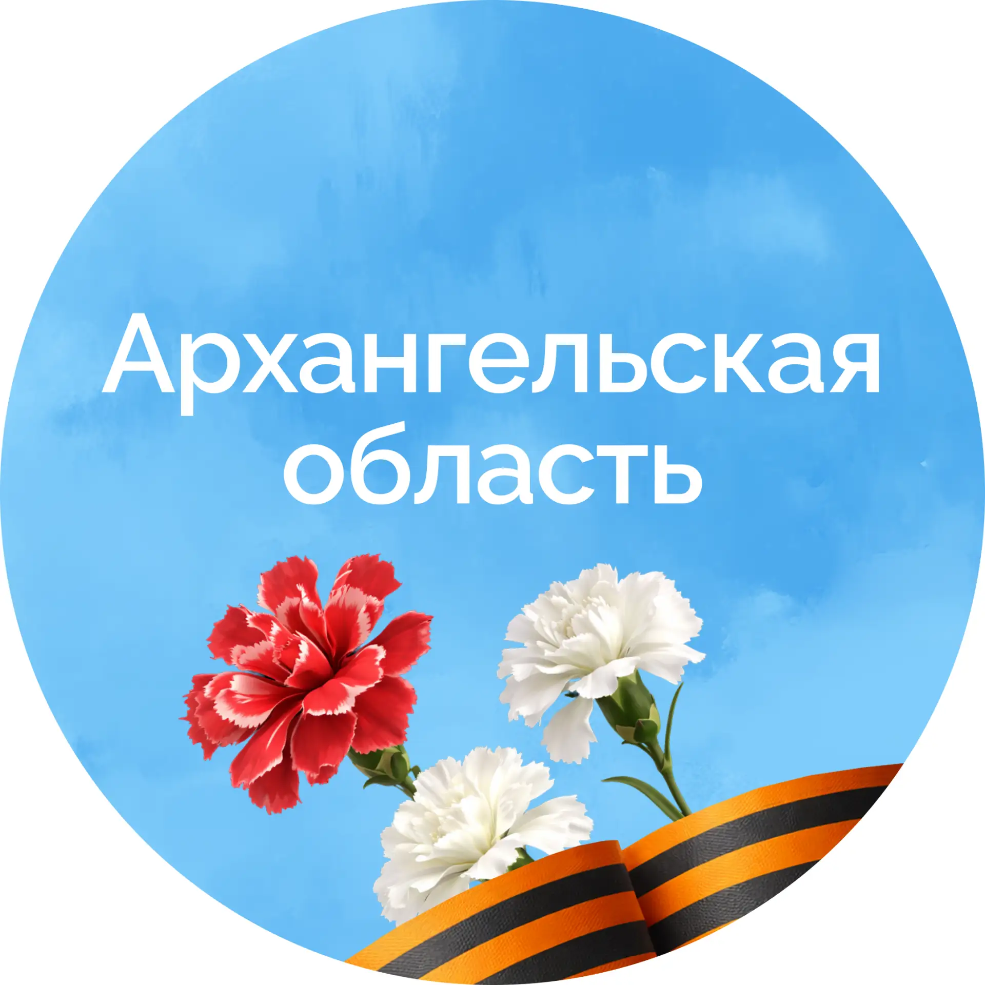 Архангельская область official