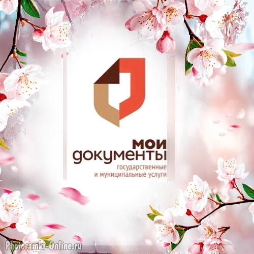 МАУ МФЦ Константиновского района — канал в мессенджере MAX