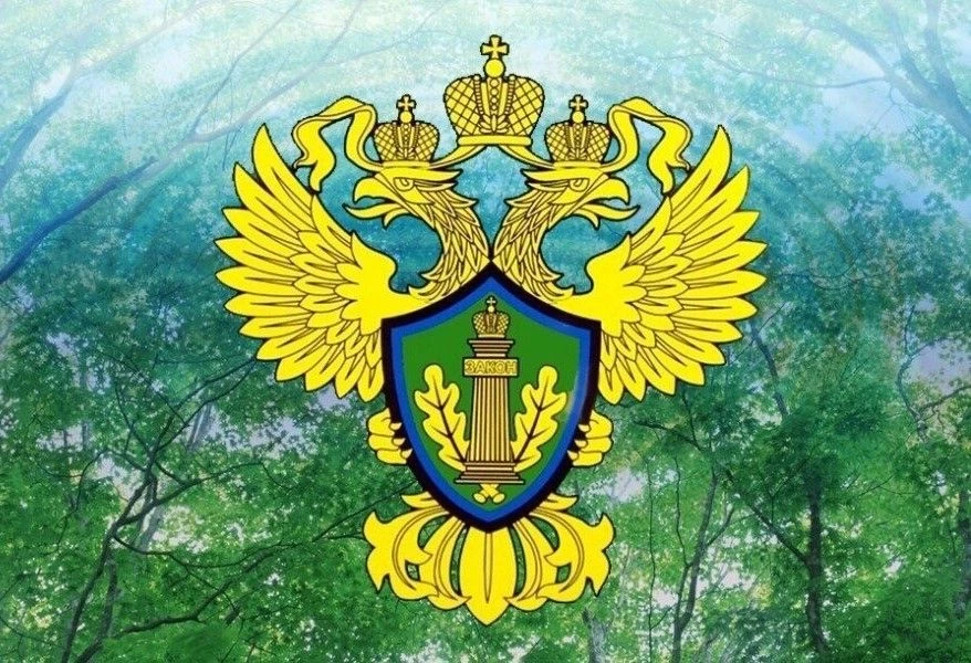 Волжско-Камское межрегиональное управление Росприроднадзора — канал в мессенджере MAX
