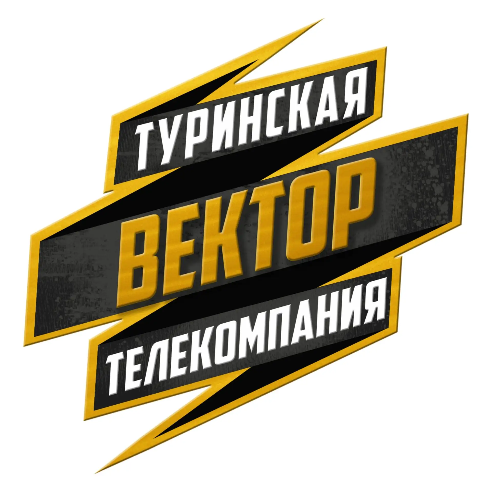 Туринская телекомпания «Вектор»
