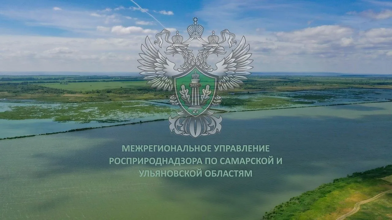 Межрегиональное управление Росприроднадзора по Самарской и Ульяновской областям — канал в мессенджере MAX