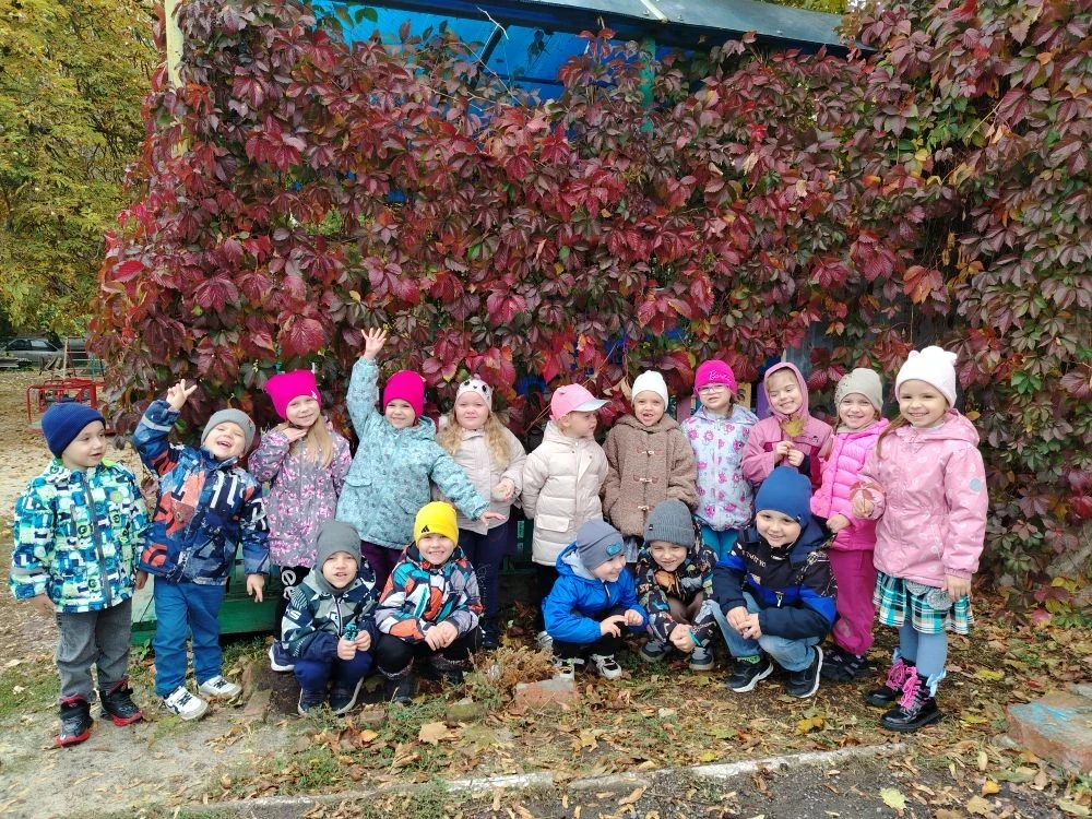 МБДОУ №45  г. Шахты