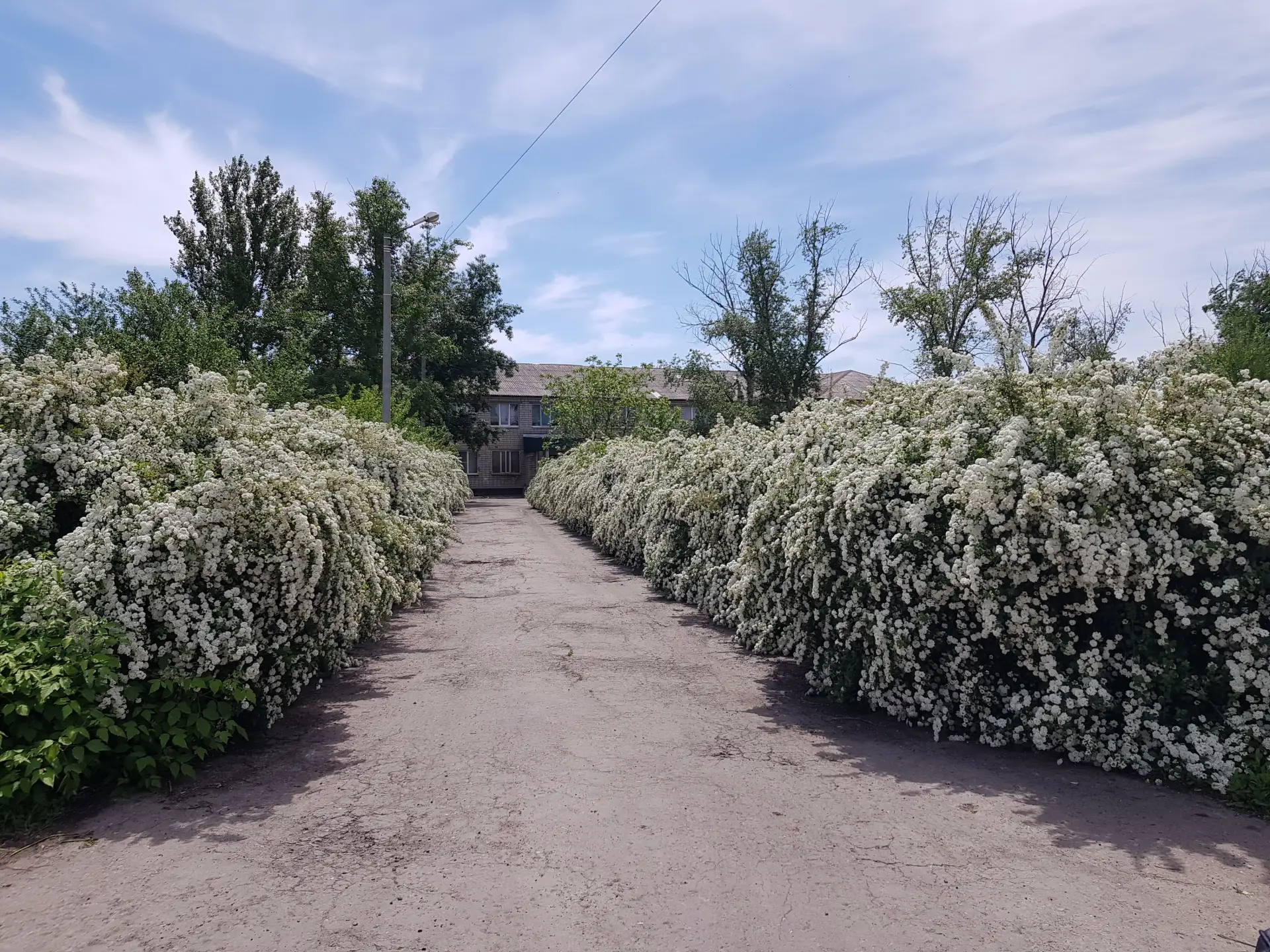 Платовская школа - лучшая школа в мире!