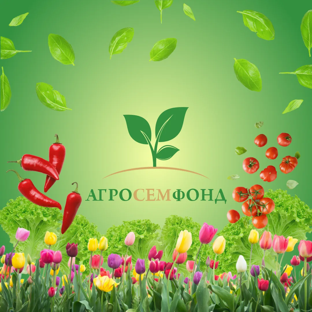 Агросемфонд - солнце ярче 🌞 и весна нежней 🌹! — канал в мессенджере MAX